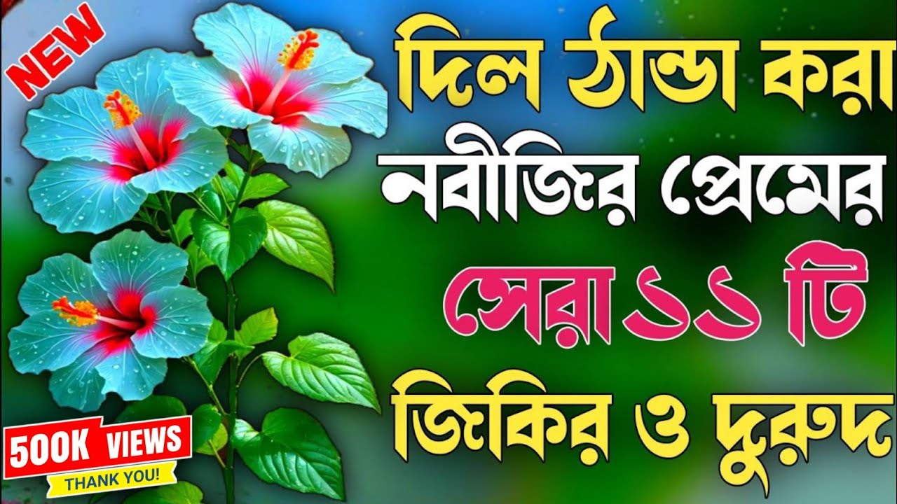 দিল ঠান্ডা করা নবীজির প্রেমের সেরা ১১টি জিকির দুরুদ।২০২৬ এর নতুন নতুন জিকির দুরুদ।New jikir durod.