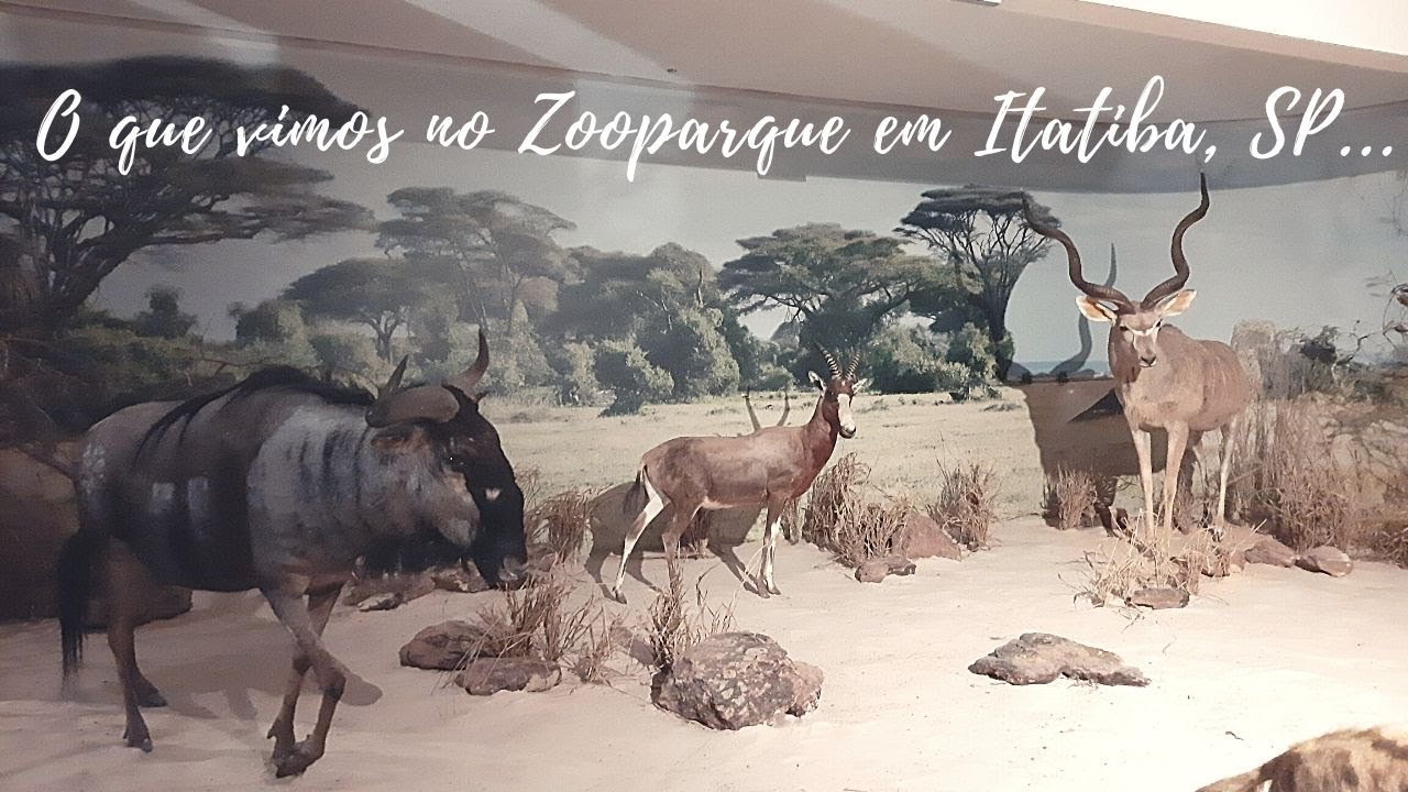 Zooparque em Itatiba - São Paulo