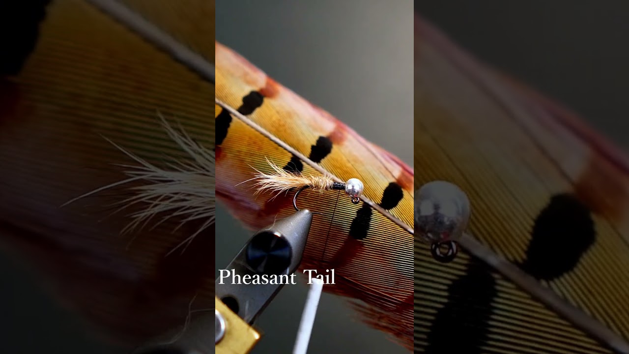 Hare's Ear Jig #shorts #flytyingaddict #Nymph