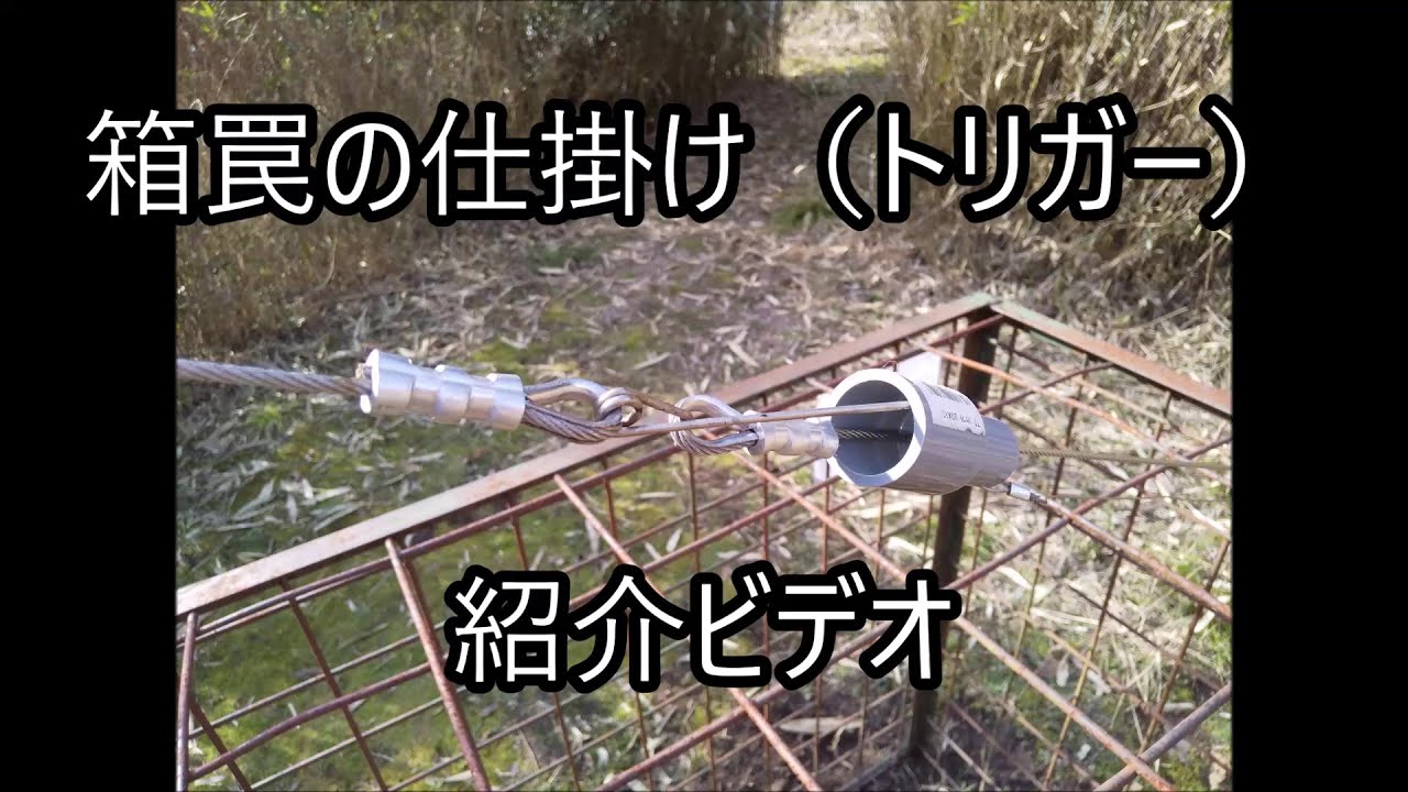 箱罠の仕掛け(トリガー)について