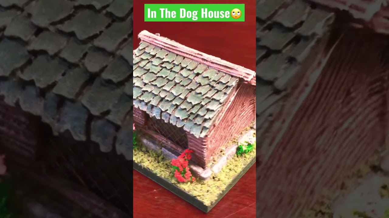 2hour Dog House build!!! 