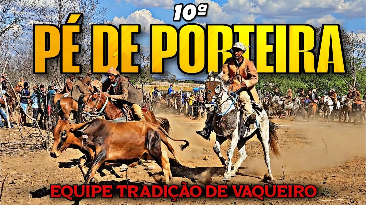 OS VAQUEIROS PERSEGUEM O GADO EM BUSCA DO MENOR TEMPO