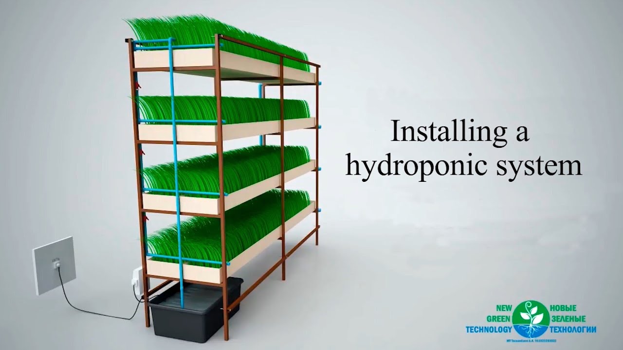 Installing The Hydroponic System