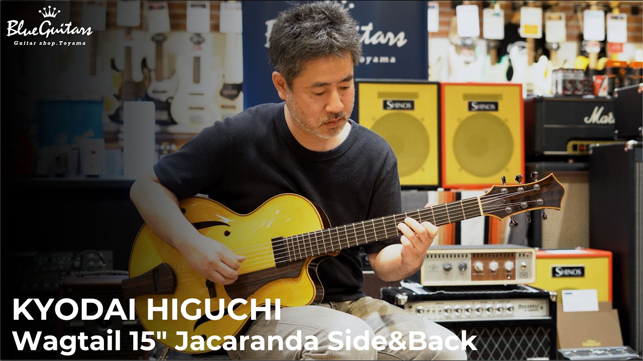 Blue Guitars - KYODAI HIGUCHI / Wagtail 15″ Jacaranda Side&Back