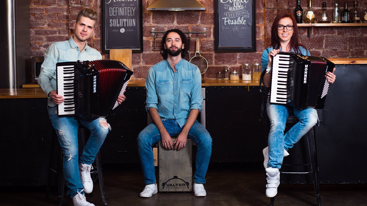 Avicii - Levels, Wake Me Up (Accordion cover by 2MAKERS)