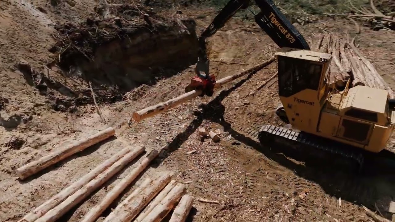 Woodsman 750