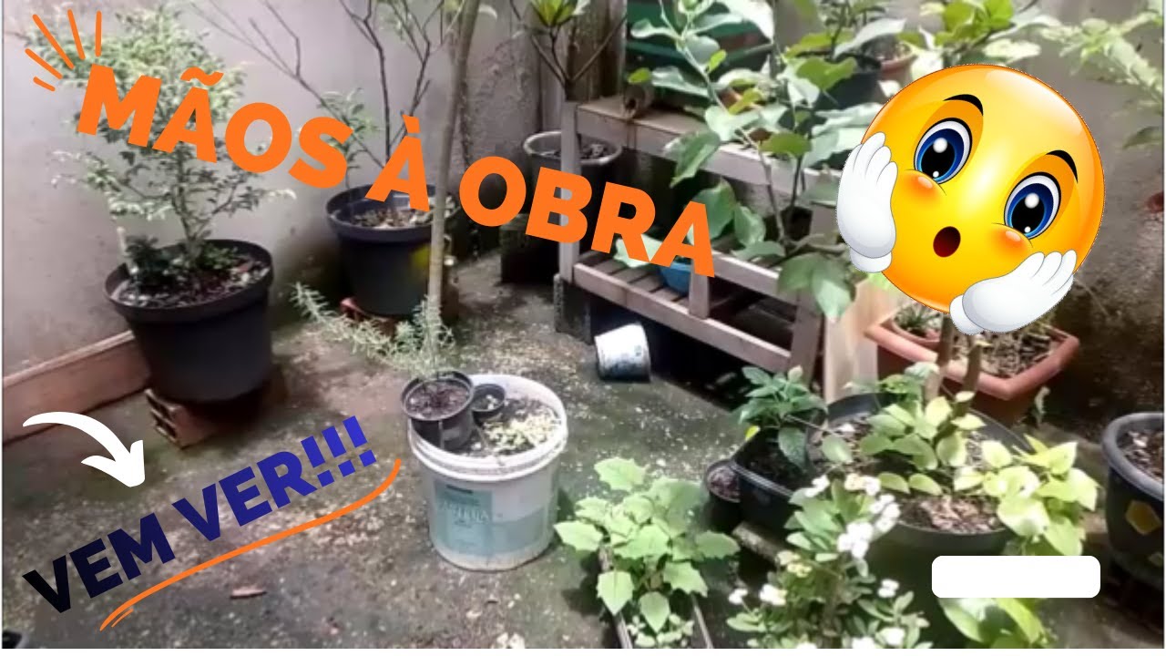 Que se iniciem os trabalhos!!!! Vamos pessoal! Temos bastante pra fazer!!! FORÇA TOTAL!!!