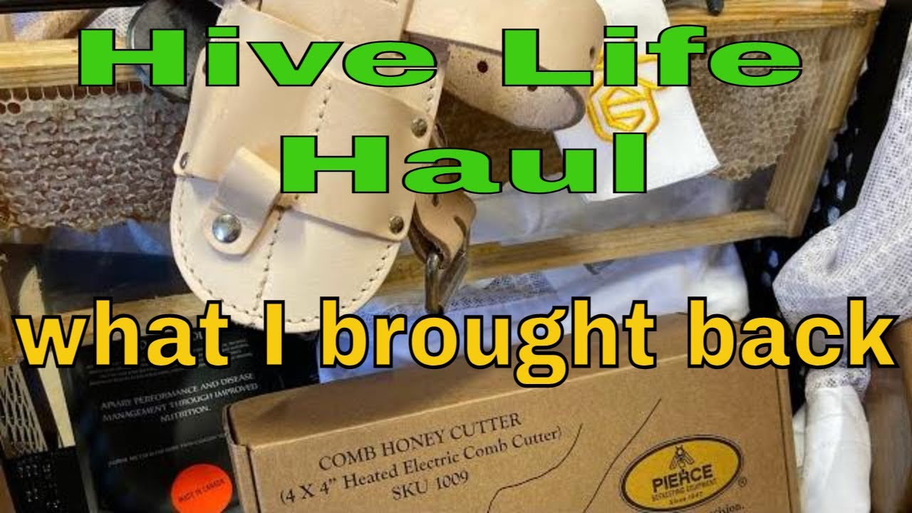 Hive Life 2023 Haul- what I brought back