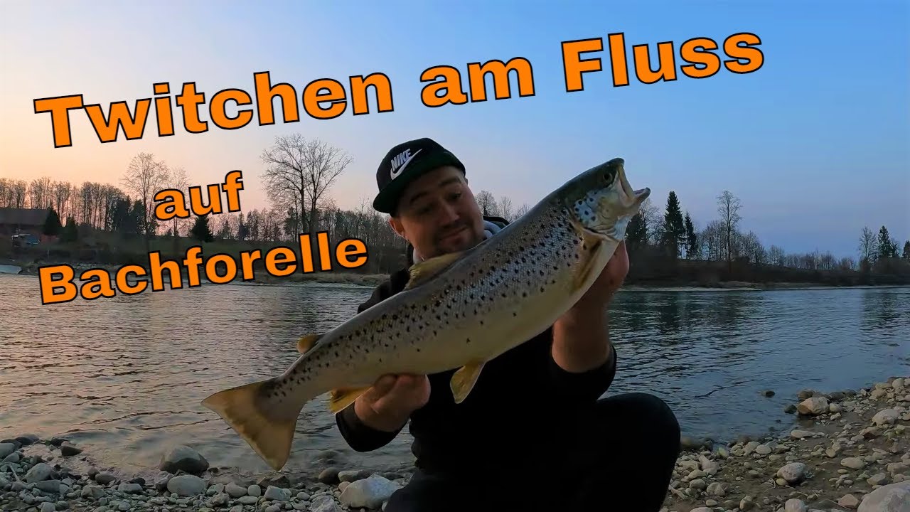 60cm Bachforelle mit Wobbler am Fluss fangen
