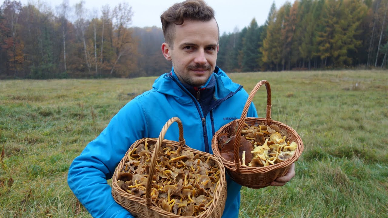 KOSZE PEŁNE GRZYBÓW w listopadzie!