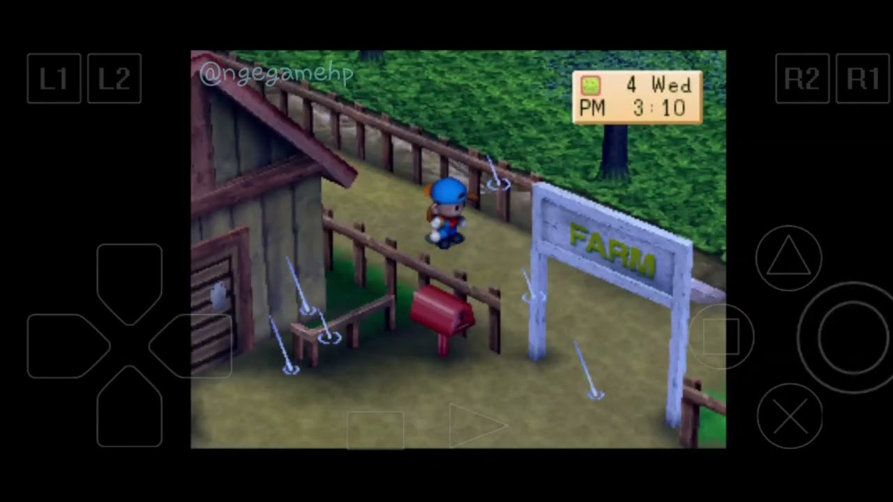 Harvest moon back to nature (HMBTN), 4 Spring, 1st year