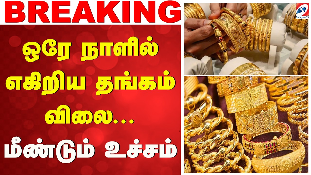 ஒரே நாளில் எகிறிய தங்கம் விலை - மீண்டும் உச்சம் | GoldPrice  | Jewellery | GoldJewellery|GoldMarket