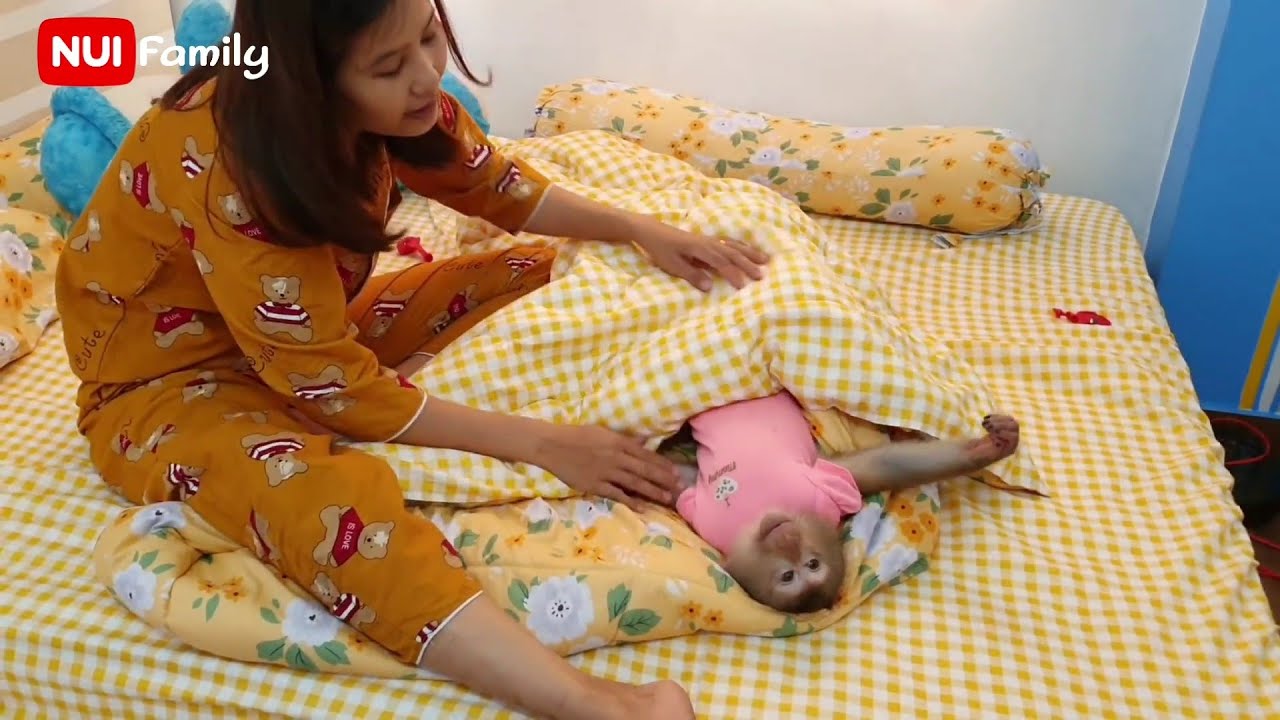 Monkey baby Nui is super cute &hearts; | Nui Family