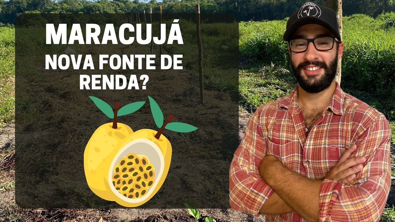 MARACUJÁ, UMA NOVA FONTE DE RENDA? - Maracujá como plantar e cuidar #01