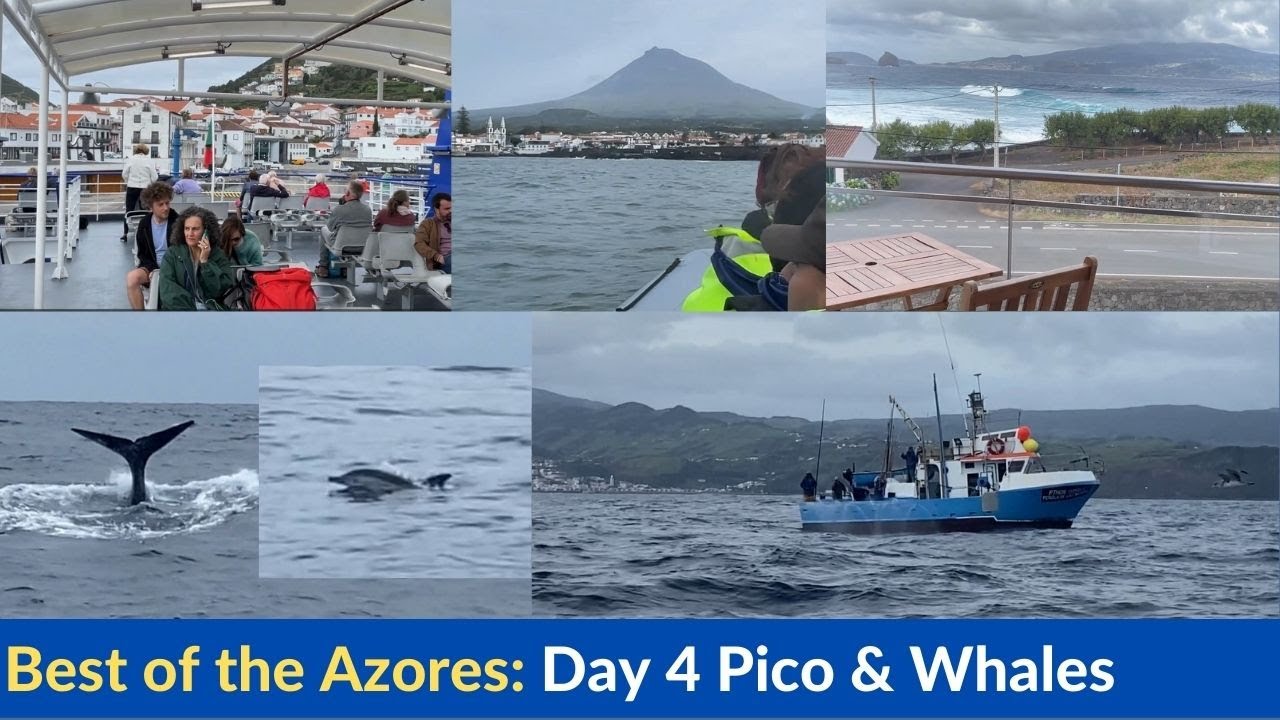 Explore the Best of the Azores: Day 4 - Pico Ferry & Whale-Watching Adventure!