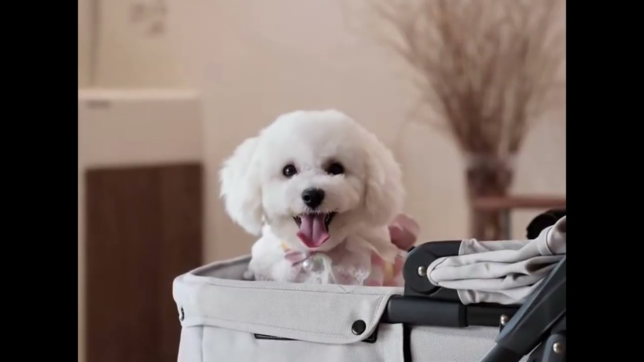 Dog's Daily uppapets Pet Stroller Lightweight Fashion Design #puppy #cute #pets #petsupplies #dogmom