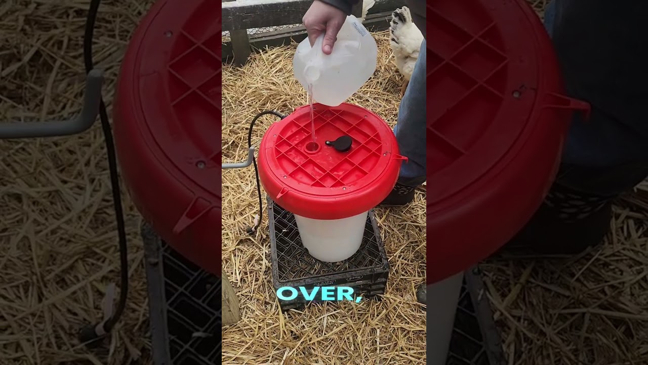 Before the Blizzard Hits ❄️ | Heated Chicken Waterer Prep