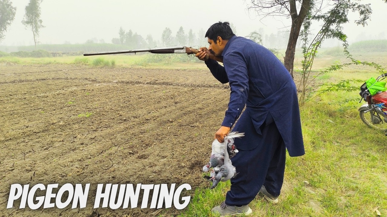 Pigeon Hunting| Dove Hunting| Shotgun Hunting 2024-25 With Mitha Hunting Squad #pigeonhunting #hunts