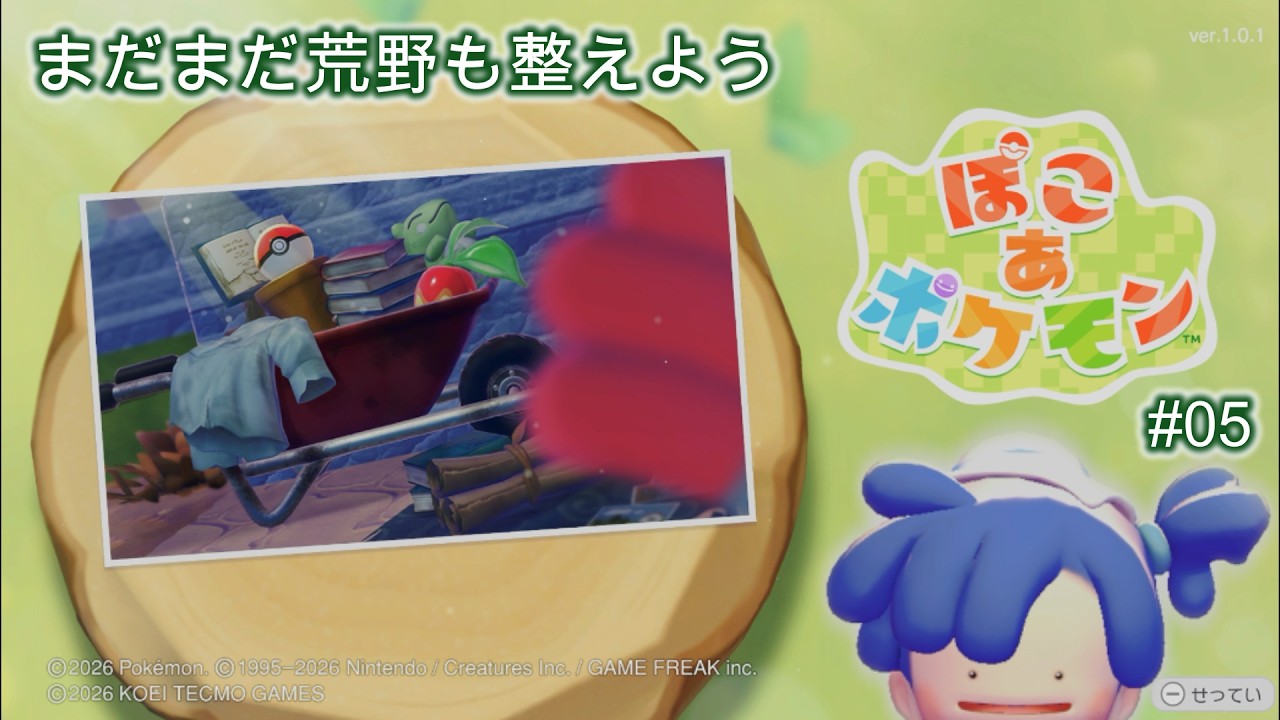 ぽこ あ ポケモン 【#05】 荒野の街に戻って、環境を整えよう
