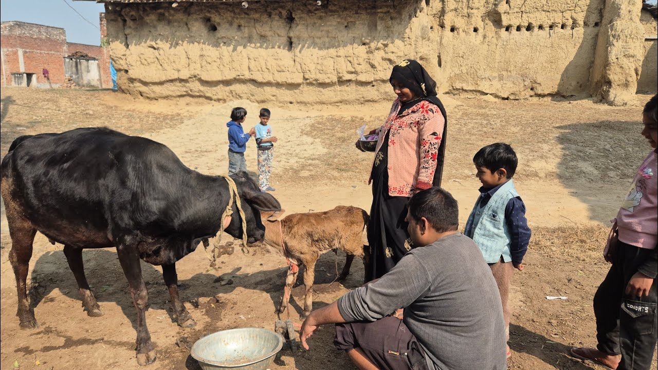 आज हमारे घर वह हो गया जिसे हमने अंदाजा भी नहीं लगाया था इतना जल्दी अचानक कैसे हो गया