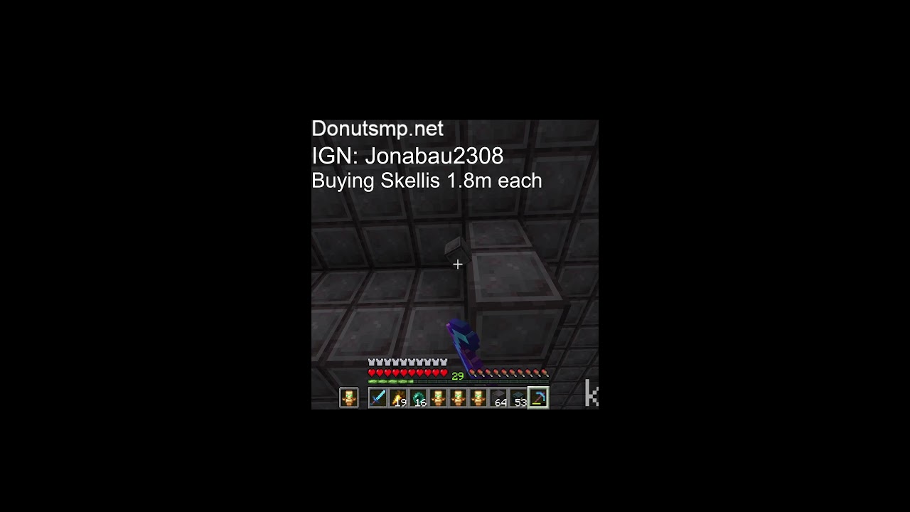 Wir Zocken Minecraft auf Donutsmp.net