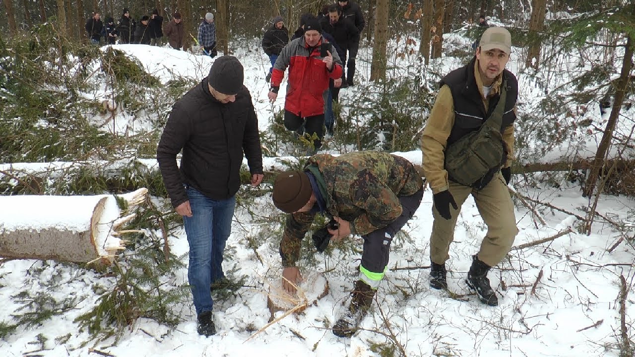 Жителі Яблуньки протестують проти вирубки лісу