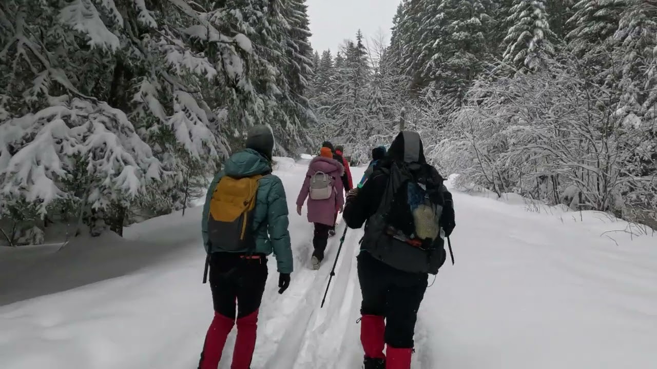 Зимний маршрут от Предяла до Кабана Сусай завершен.