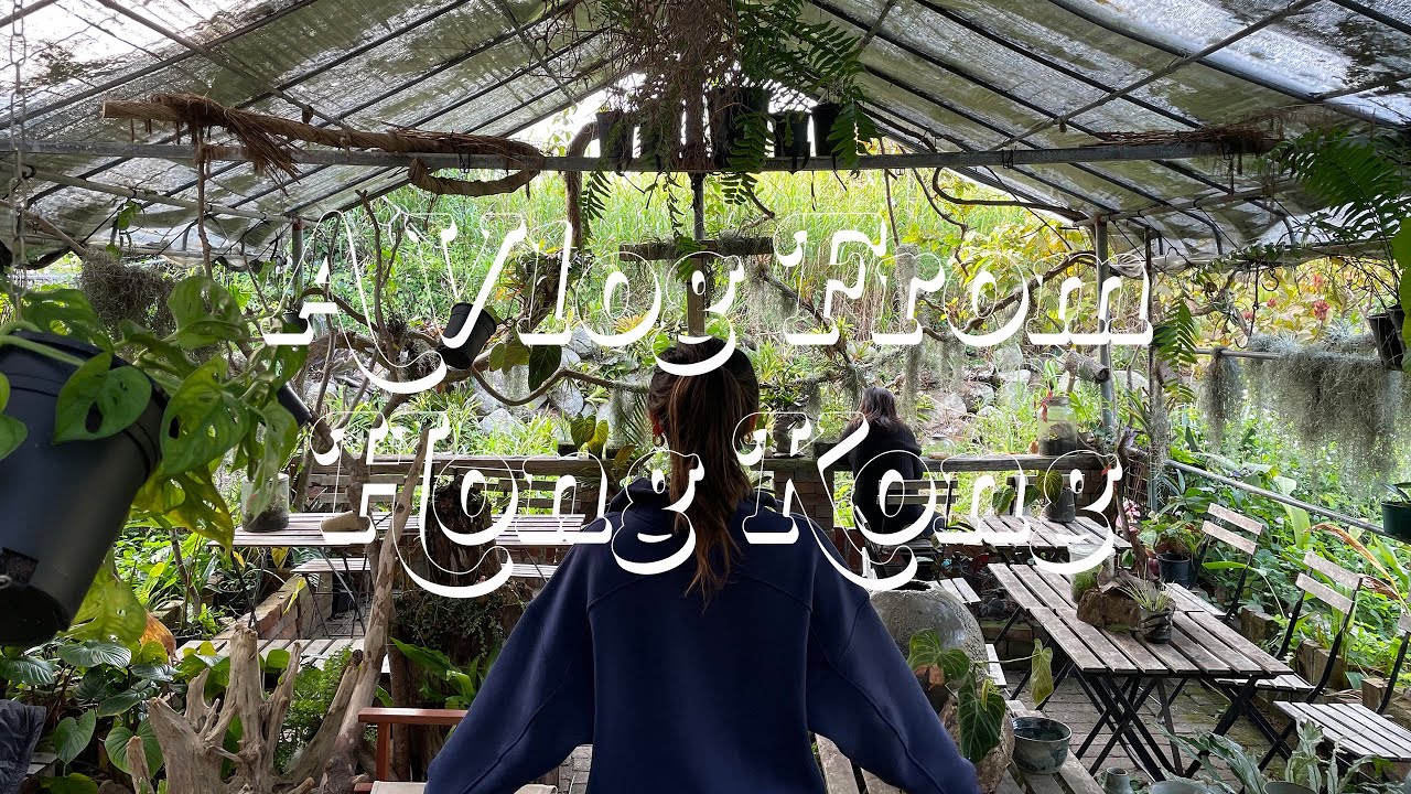 HK VLOG 🇭🇰 | exploring lamma island, secret garden, cute french bistro