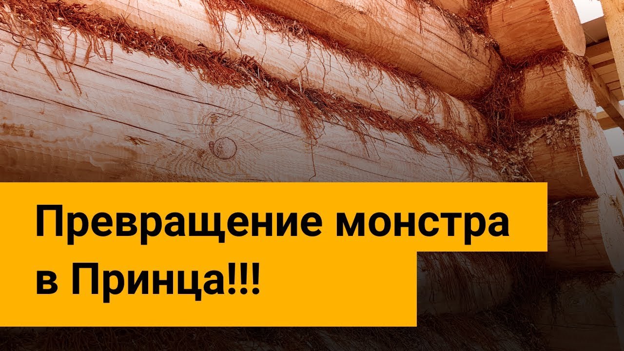 Отделка стен сруба  Советы прораба