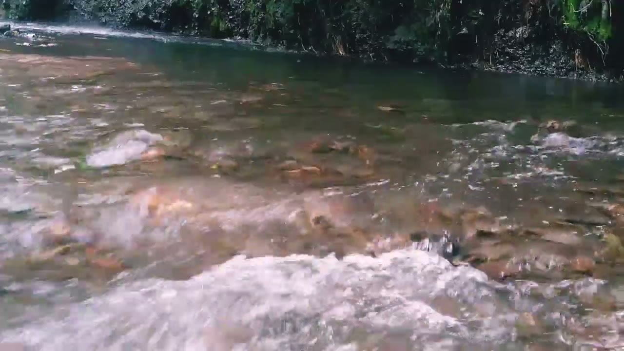 The Sound Of Water And The Sound Of Wild Birds In Nature For Relaxation