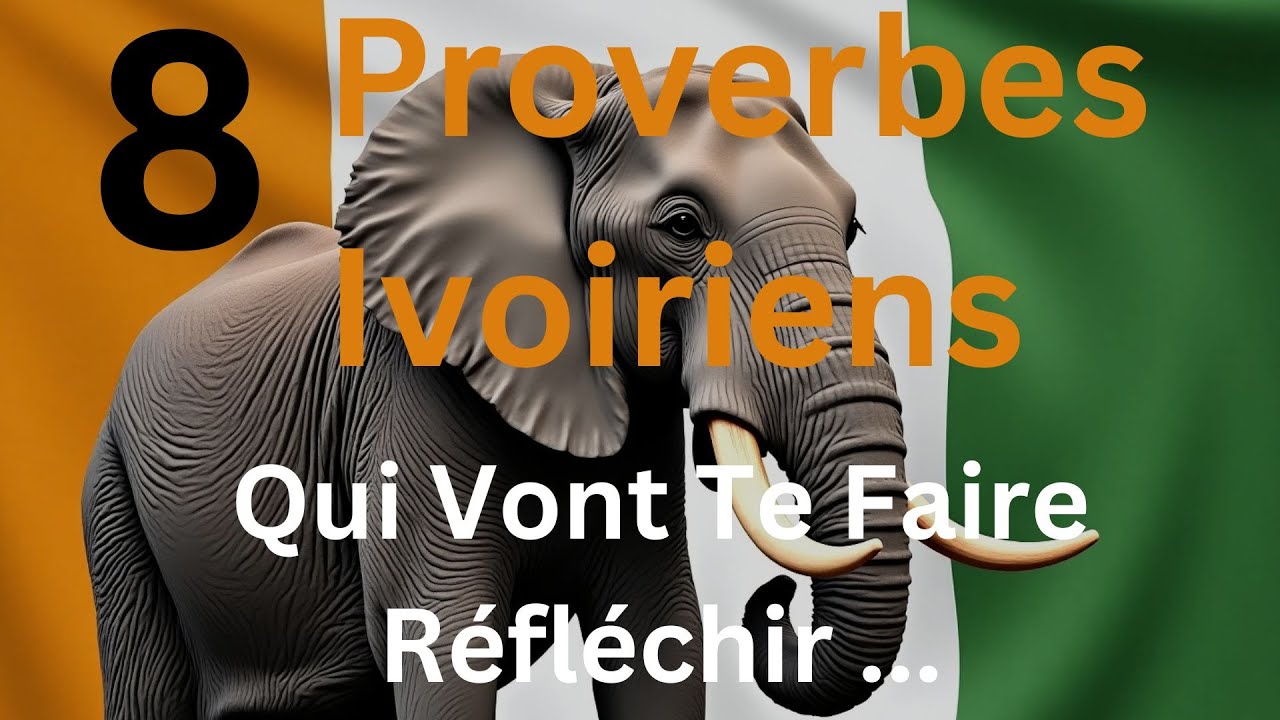🔆 8 PROVERBES IVOIRIENS 🔆