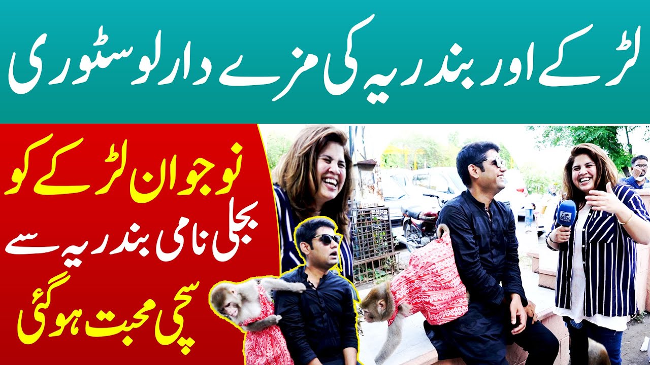 Lakray or Bandariya Ki Mazydar Love Story, Naujawan Larkay Ko Bijli Nami Bandriya Se Mohabbat Ho Gai