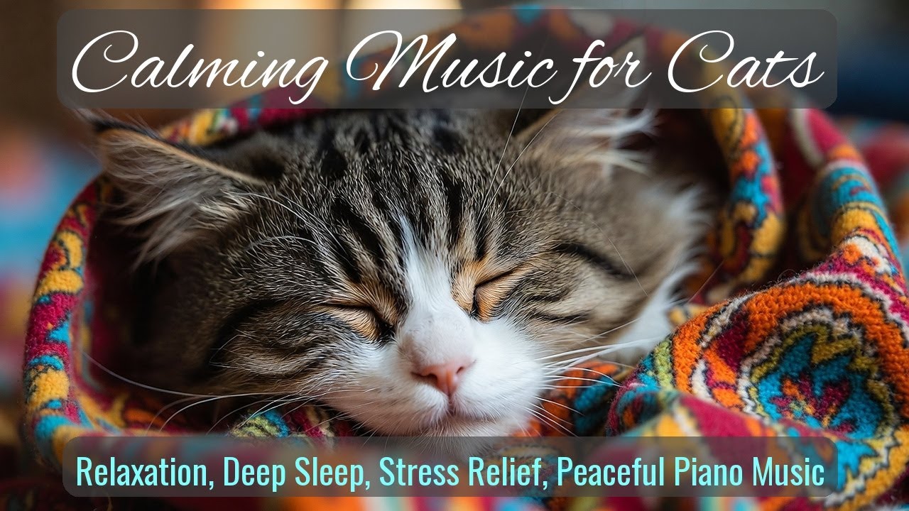 Calming Music for Cats - Relaxation, Deep Sleep, Stress Relief, Peaceful Piano Music | Season 76
