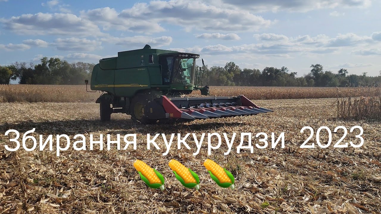 Збирання кукурудзи 2023🌽🌽🌽 ДМС Гроно🇺🇦🇺🇦🇺🇦