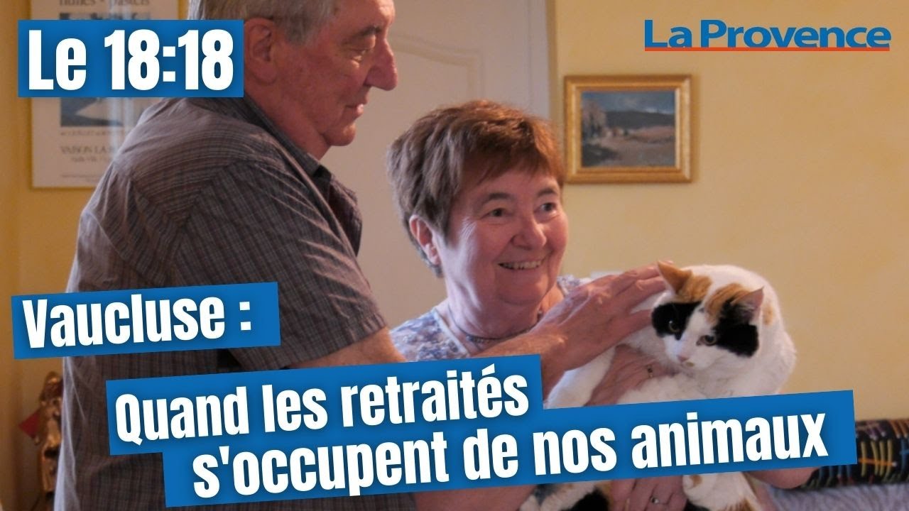 Vaucluse : des retraités au service de nos animaux