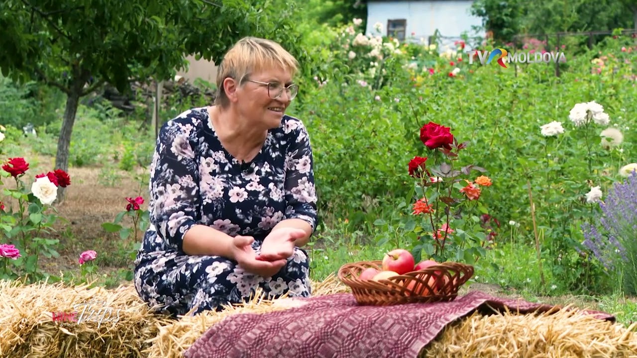 WINE TRIPS: Relaxare într-o mare grădină de trandafiri la Orheiul Vechi