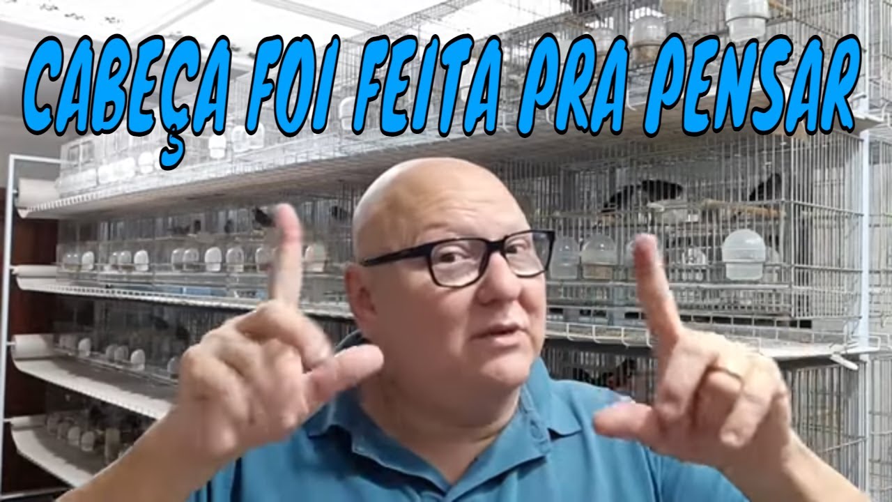 CABEÇA FOI FEITA PRA PENSAR, MANEJO NÃO SE DISCUTI
