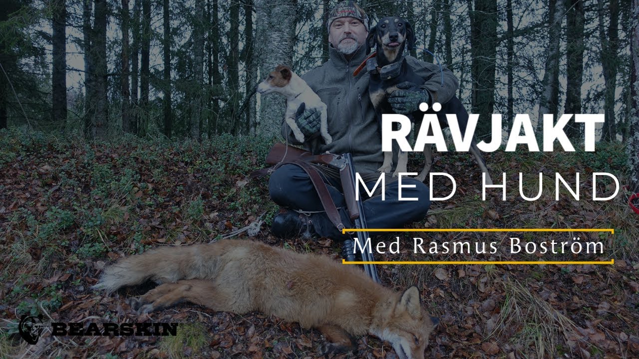 R&auml;vjakt med Bearskin