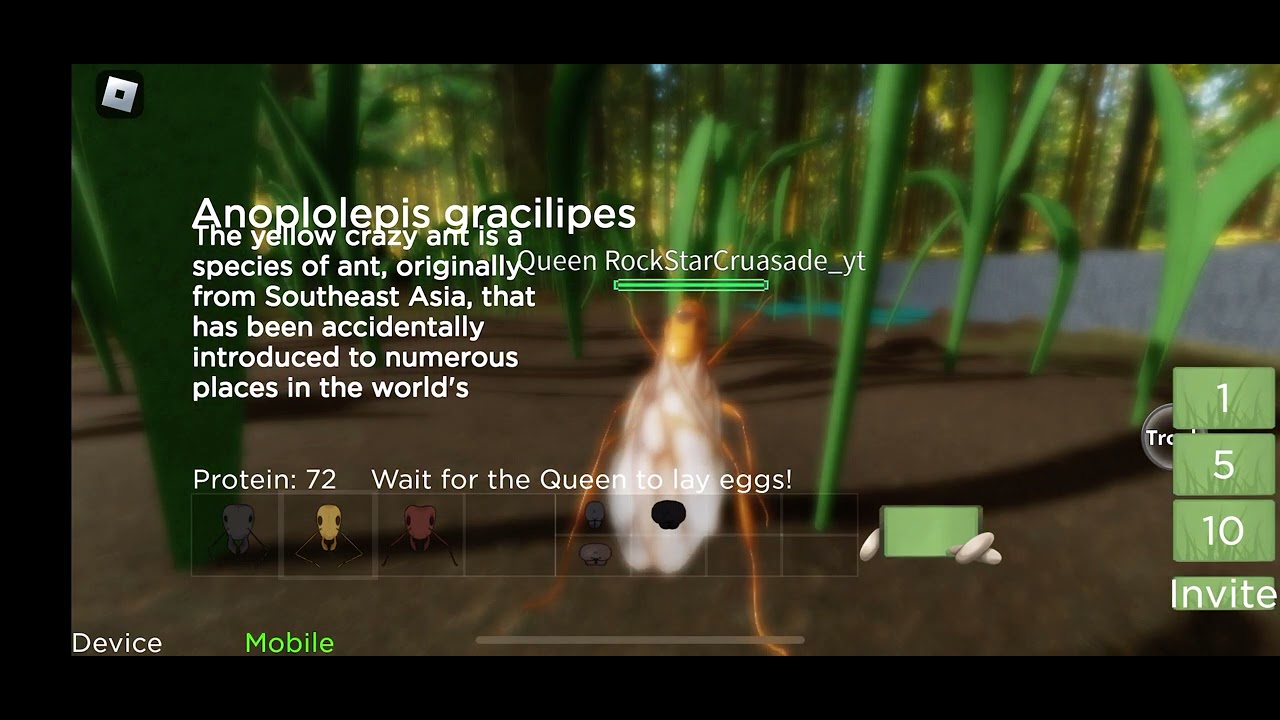 Recording a random vid with viewer in ant life