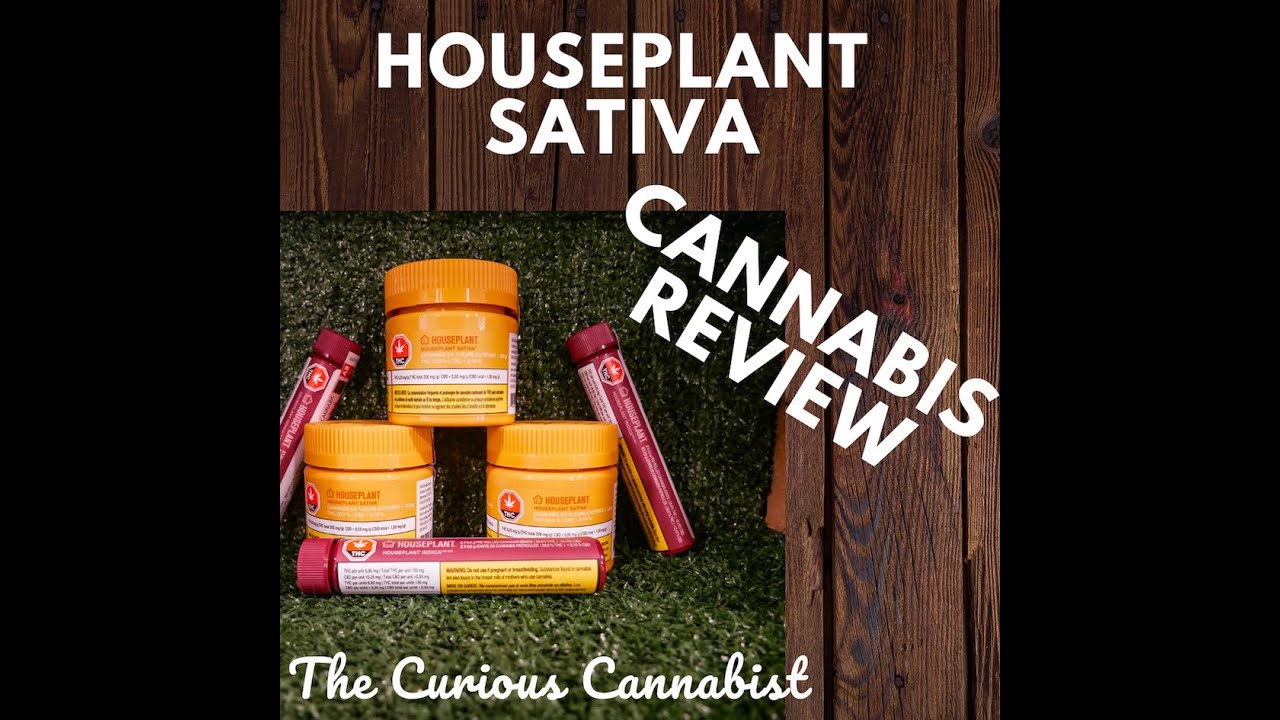 Cannabis Review | Houseplant Sativa | MUST BE 19+ to View