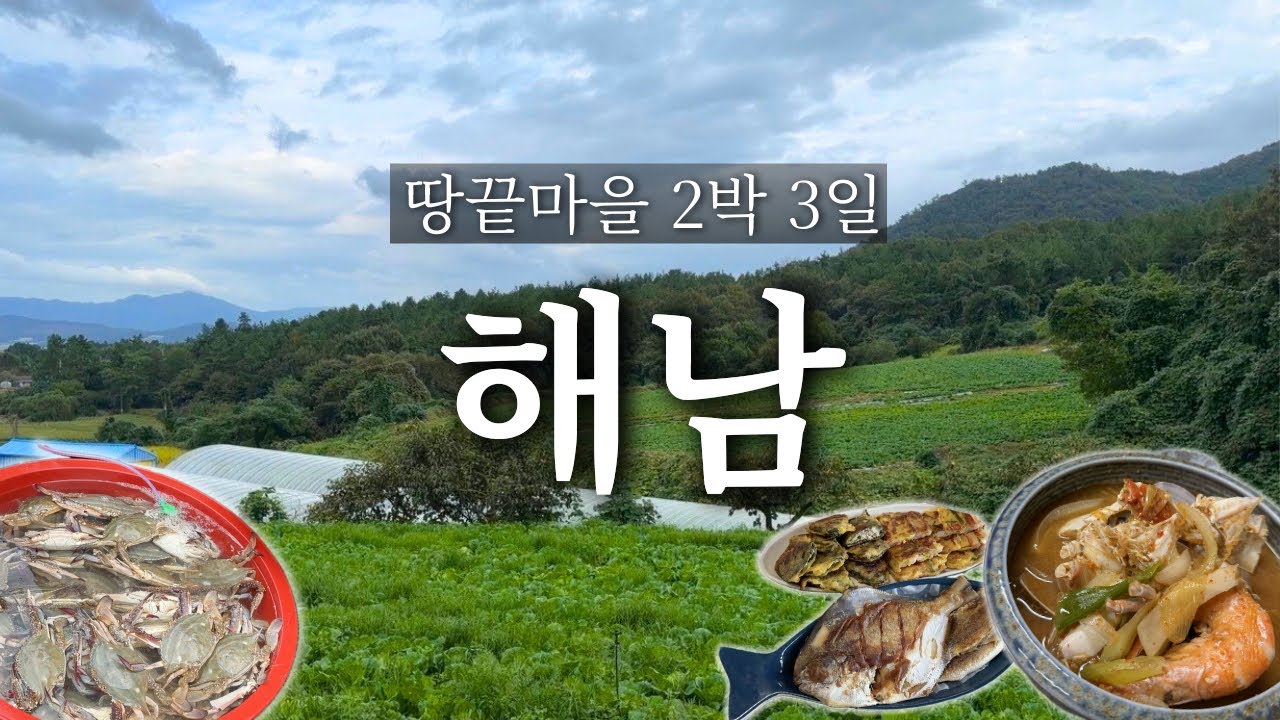 서울에서 해남까지 5시간! 그만큼 공기 좋고 자연 그대로 🌿 5일장에서 사온 재료로 해남 최요비 촬영까지 🦀