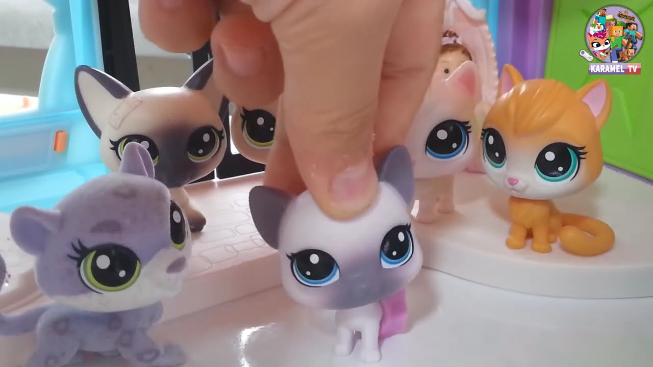 LPS Minişler Arkadaş Tipleri