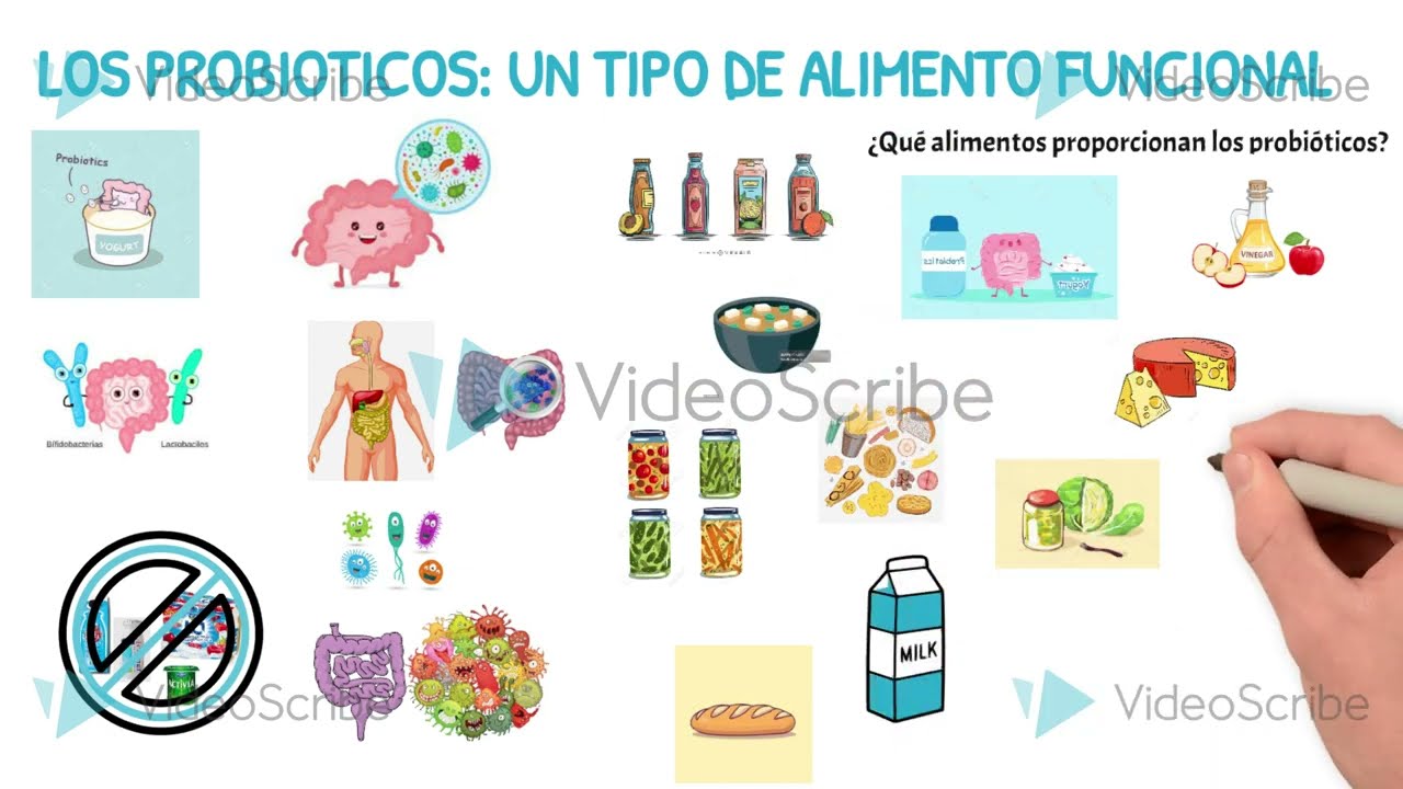 Los Probi&oacute;ticos como alimento funcional y sus beneficios por Mar&iacute;a Jos&eacute; Borjas