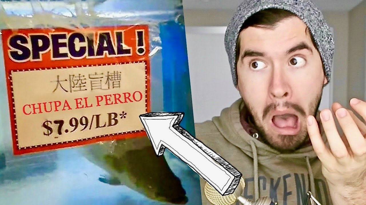 TRADUCCIONES INCREIBLEMENTE MALAS!!