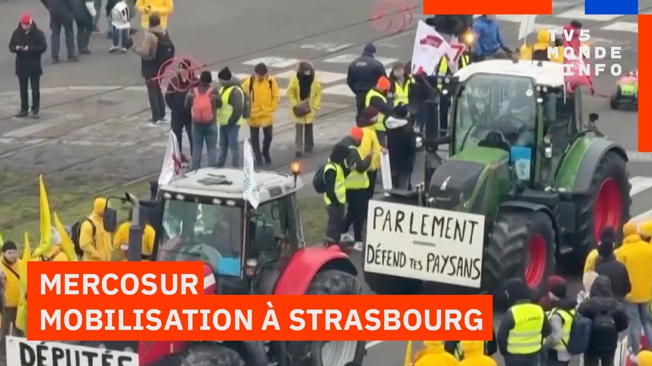 Mercosur : Les agriculteurs européens se mobilisent à Strasbourg