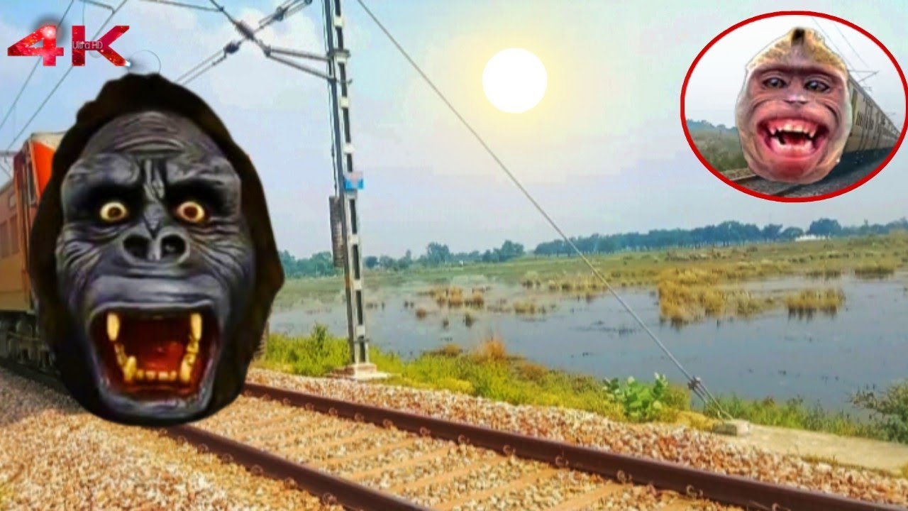 Hahaha !!!! Ada Lagi Tv Aja Nih Kereta Berkpala monkey lucu Sekali Exe funny videos K R L TRAIN🤣😂😭
