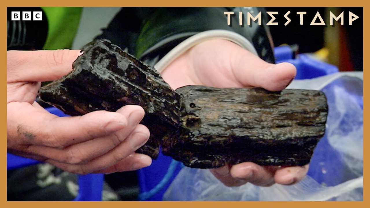 8,000-Year-Old ‘Lost World’ Unearthed Beneath The Waves | BBC Timestamp