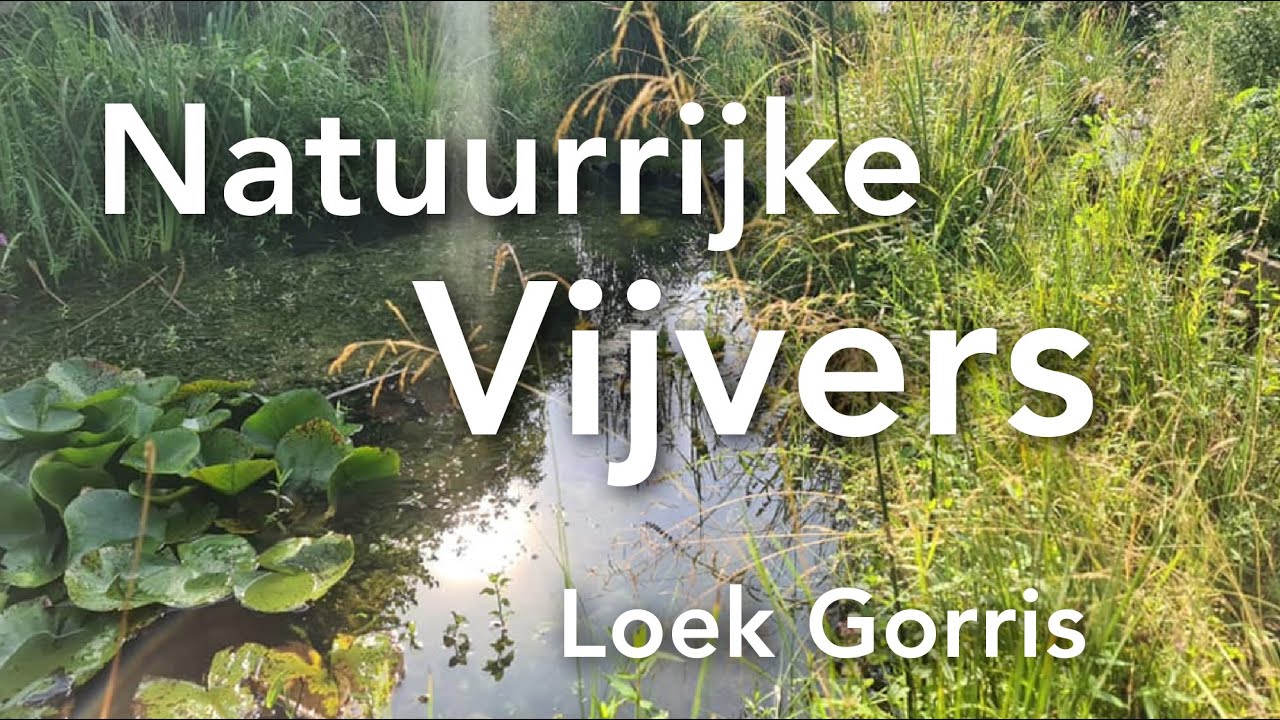 Natuurrijke Vijvers