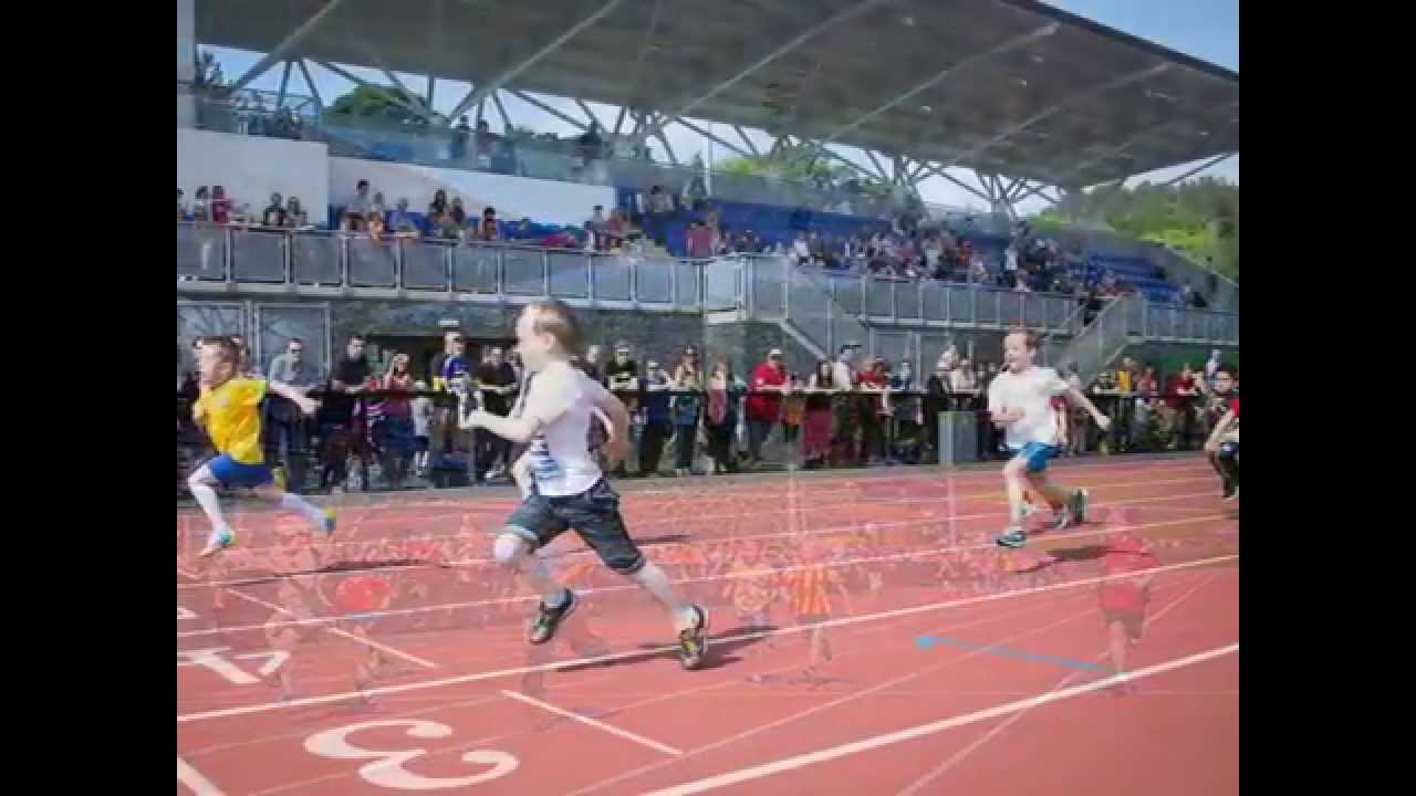 Finaghy PS Sports Day 2014