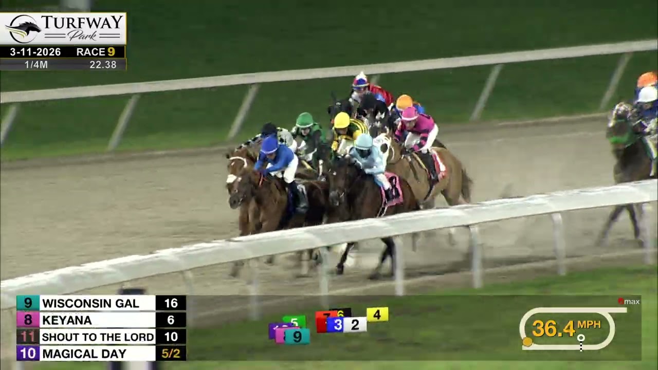 RACE 9 PROGRAM 3 11 2026